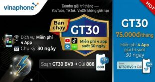 Gói GT30 Vinaphone: TikTok, YouTube, Nhaccuatui, VieON miễn phí 30 ngày giá 75.000đ