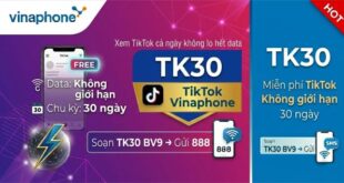 Gói Cước TikTok Vinaphone – Miễn Phí Data Xem TikTok Không Giới Hạn 2026
