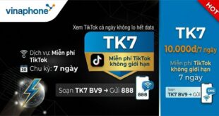 Gói TK7 Vinaphone: TikTok không giới hạn 7 ngày chỉ 10.000đ